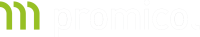 logo_lang.png